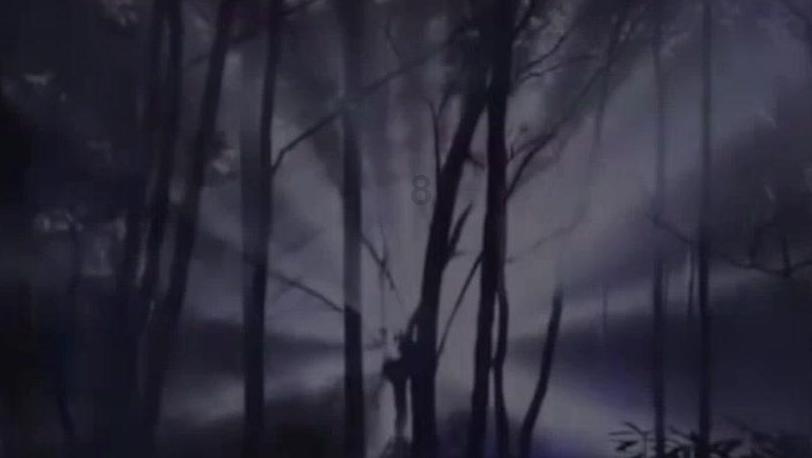 拯救精灵的土地8